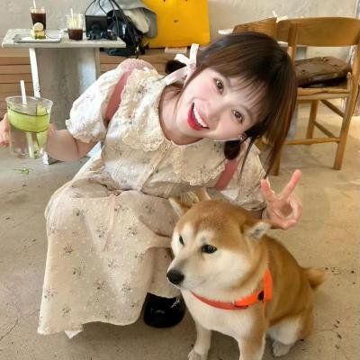 新安妮日记