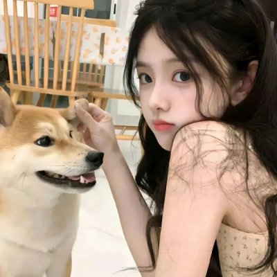 良陈美锦